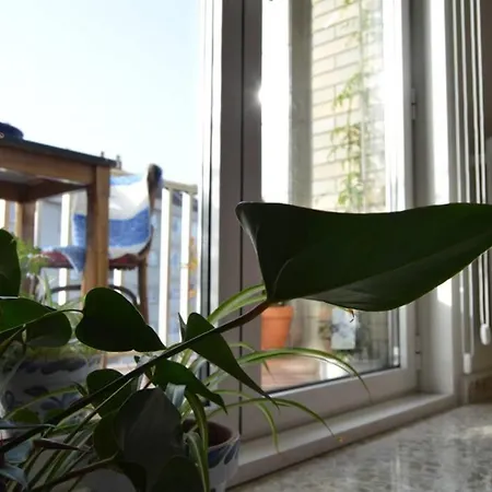 Amplio Y Luminoso Piso En El Centro De Apartamento