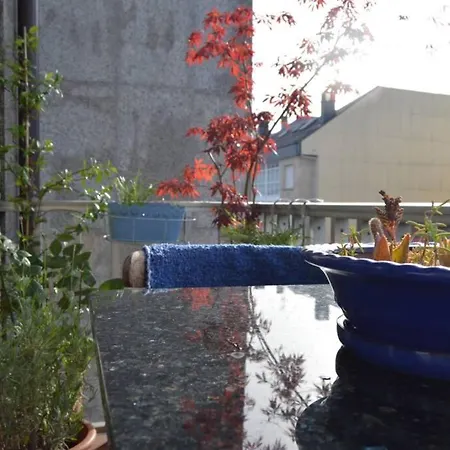 Apartamento Amplio Y Luminoso Piso En El Centro De *